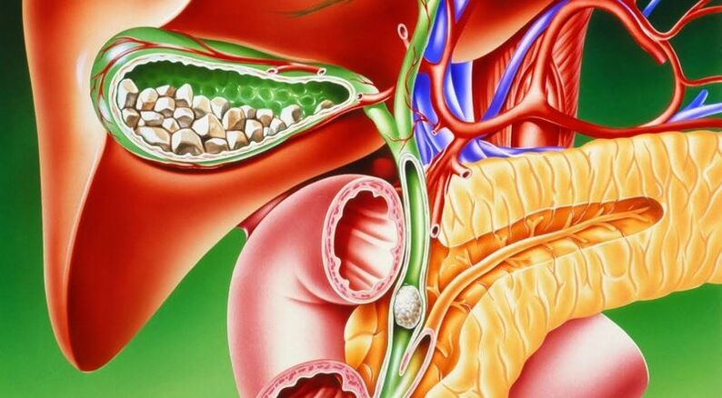 diagram sa lokasyon sa gallbladder